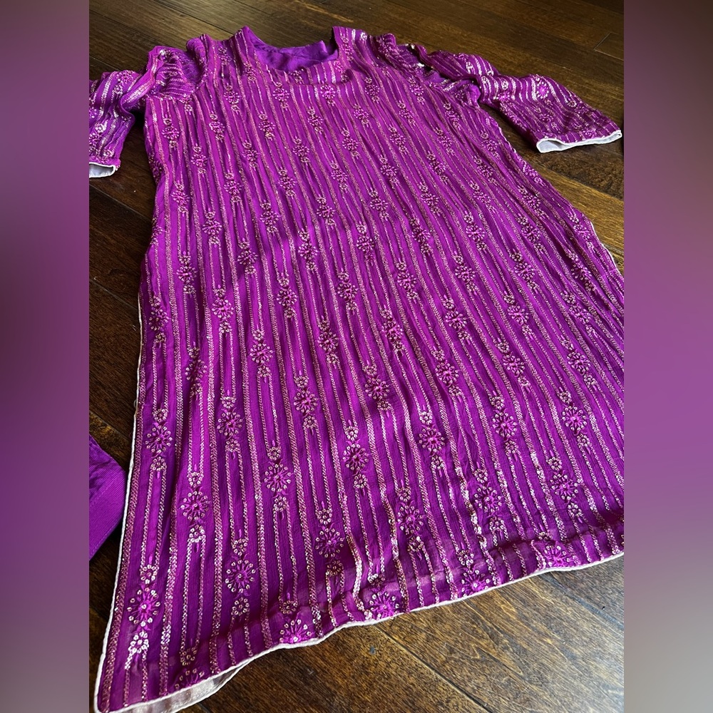 Elegant Purple Pakistani Indian fancy dress